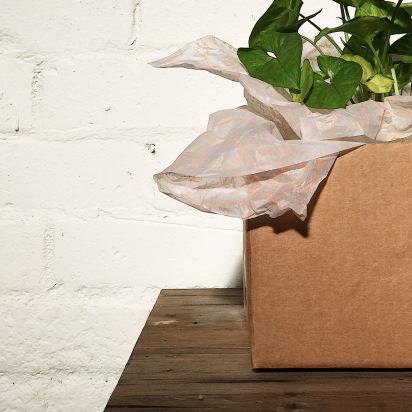 Introducing: noissue's 2019 Sustainable Packaging Study